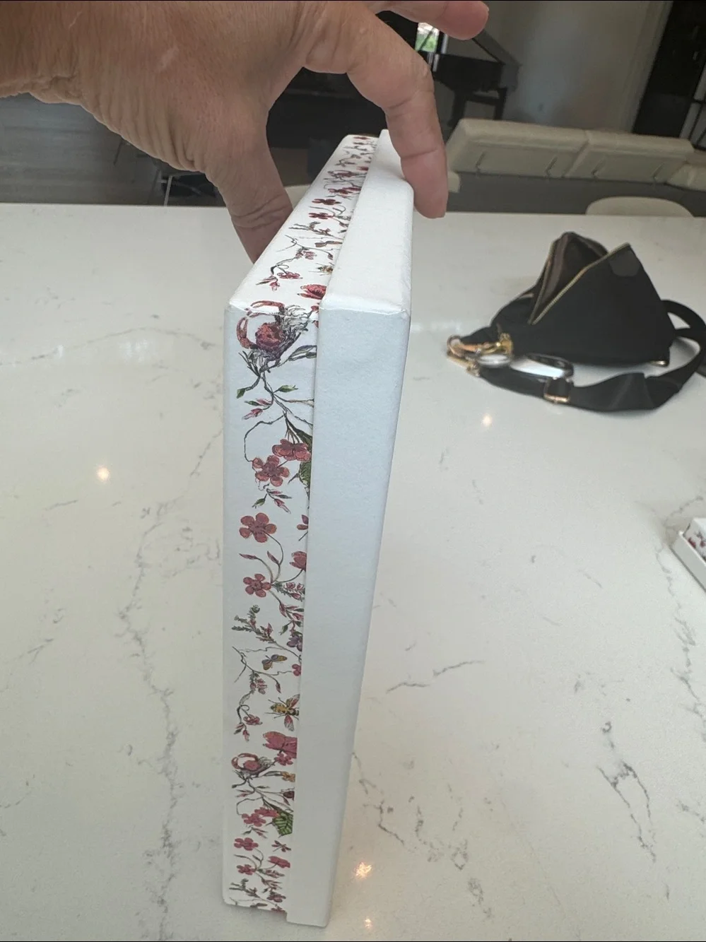 Dior Scarf Box/tissue/ribbon RARE LIMITED EDITION “Cabinet of Curiosities”